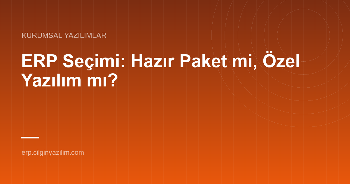 ERP Seçimi: Hazır Paket mi, Özel Yazılım mı?
