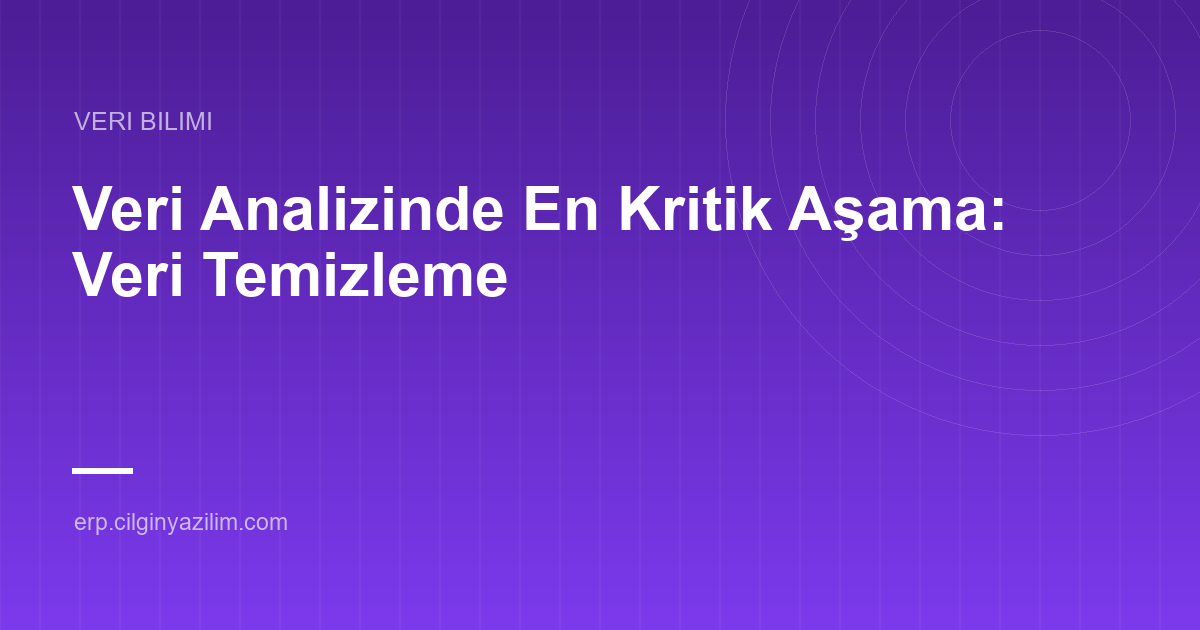 Veri Analizinde En Kritik Aşama: Veri Temizleme