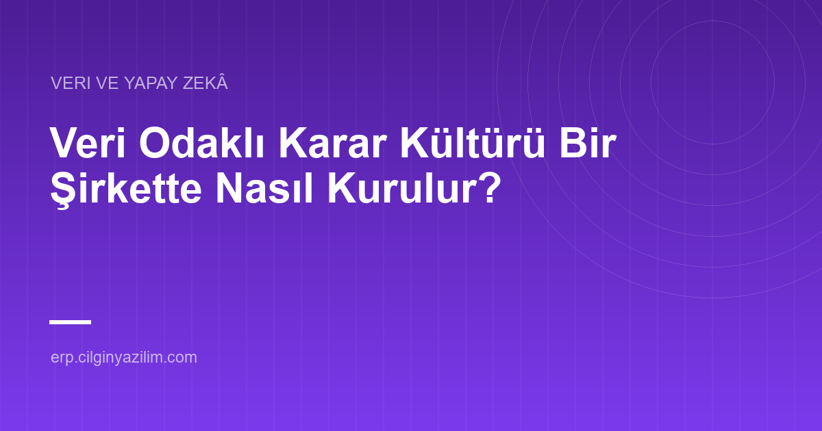 Veri Odaklı Karar Kültürü Bir Şirkette Nasıl Kurulur?