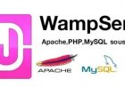 WampServer Kurulumu